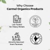 Triphala Polvo Carmel Organics 240ml Soporte Digestivo