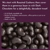 WinCrest Dark Chocolate Cashews (1.5 Lb Tub)