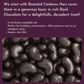 WinCrest Dark Chocolate Cashews (1.5 Lb Tub)
