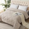 JOLLYVOGUE Queen Comforter Set with 2 Pillows, 5 Pieces Ultra-Soft