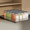 ZDDLOINP Extendable Spice Rack for Cupboard, Spice Rack, Black, Spice