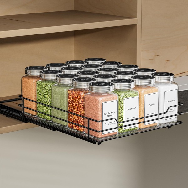 ZDDLOINP Extendable Spice Rack for Cupboard, Spice Rack, Black, Spice