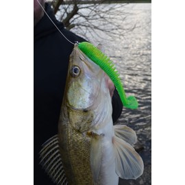 Major Fish Zander leader fluorocarbon fishing line, 0.30 mm, 4 kg, 50 metres