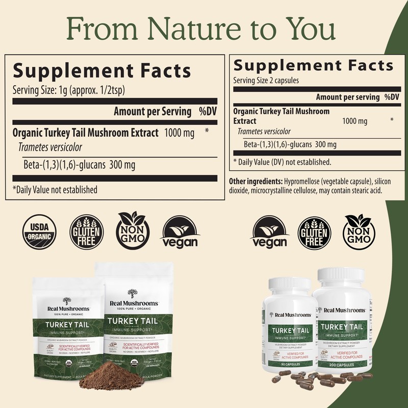 Real Mushrooms Turkey Tail Capsules – Organic Mushroom Extract for
