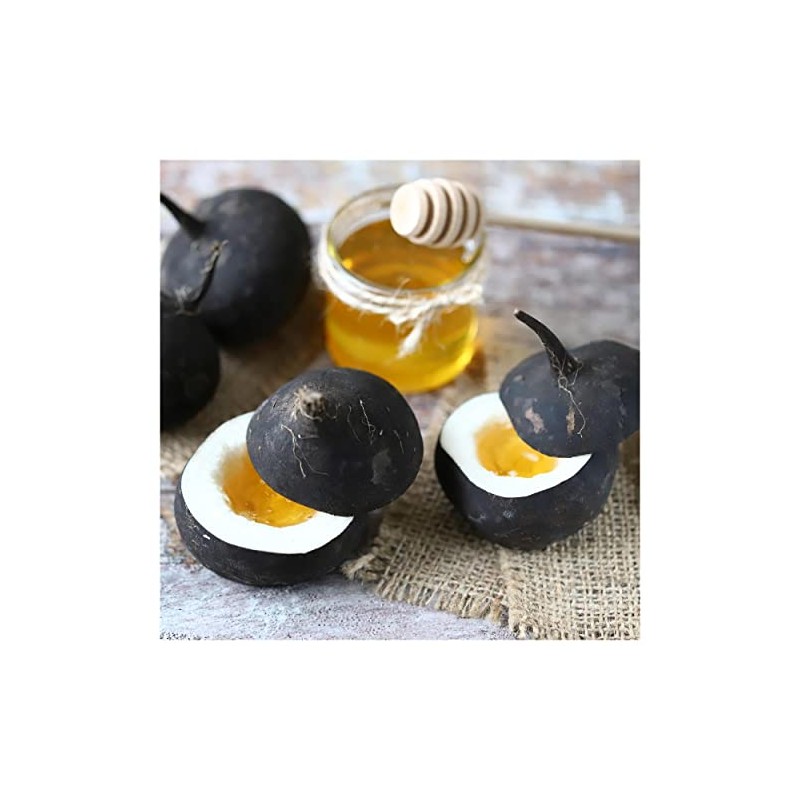 Everwilde Farms - 1/4 Lb Black Spanish Round Radish Seeds