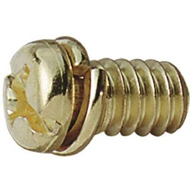 Westinghouse 77047 Motor Screw, Brass, 10-Pack,White