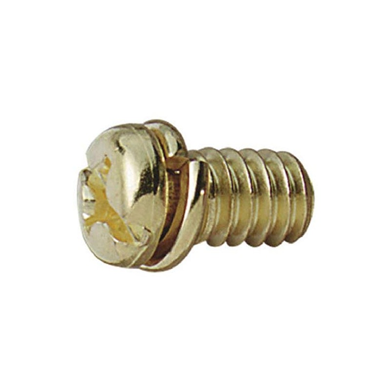 Westinghouse 77047 Motor Screw, Brass, 10-Pack,White
