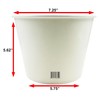 Bits N Things White Paper Ice Bucket | Disposable |