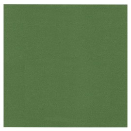 PA Paper Accents Pearlized Cardstock 12" x 12" Cilantro, 111lb Colored cardstock Paper for Card Making, Scrapbooking, Printing, Quilling and Crafts, 25 Piece Pack