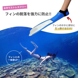 COZENTA Fin Support, Fin Fixing, Shedding, (M, White, White)