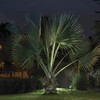 Tecnolite Estaca Solar para Jardín, Luces Solares de Jardín, Luz