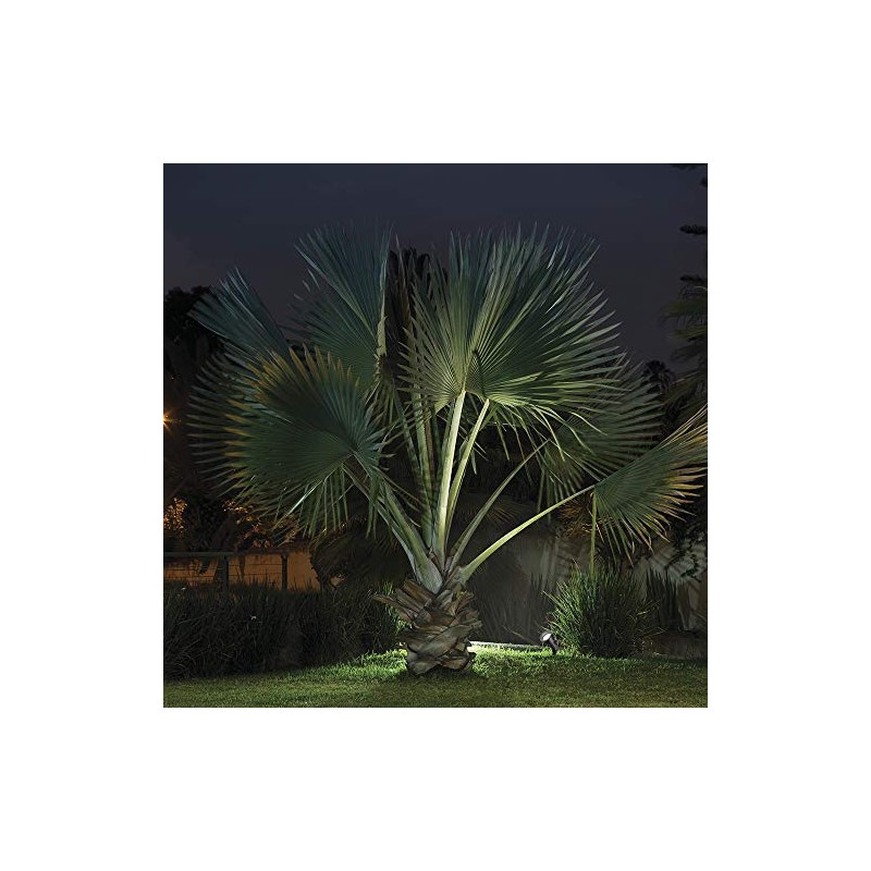 Tecnolite Estaca Solar para Jardín, Luces Solares de Jardín, Luz