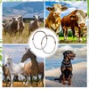 Misdary 2 Pcs Goat Show Collar Adjustable Iron Goat Chain