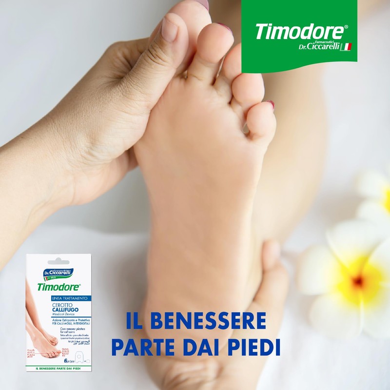 CALLIF CICCARELLI INTERDIG 6P