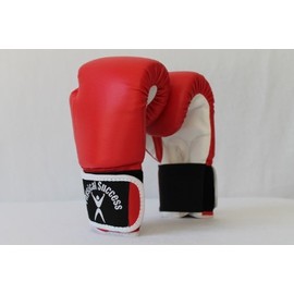 Physical Success Partners Kids Boxing Gloves Red 2oz