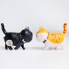 GW Box 9 Style Cat Refrigerator Magnets Fridge Magnet Set