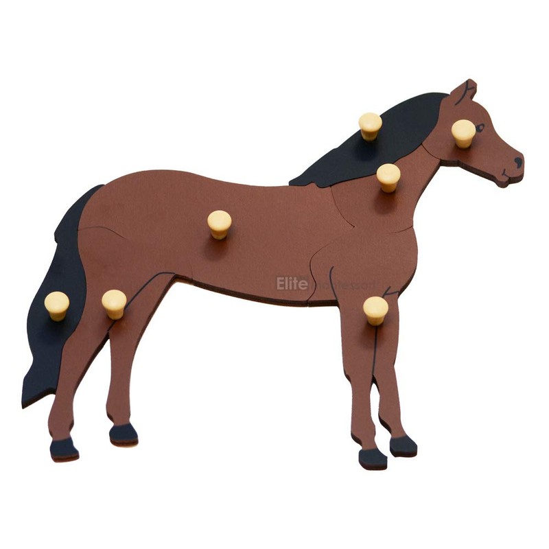 Elite Montessori Horse Puzzle Preschool Learning Material