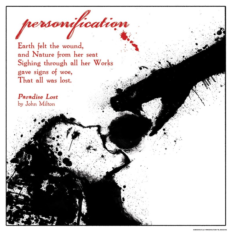 Literary Techniques - Classroom Library Literature Terms Posters