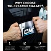 Trec Nutrition Trec Nutrition CM3 Powder Package 250g Creatine Malate