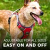 Embark Pets Adventure Dog Harness, No Pull Dog Harness with