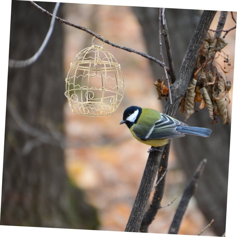 Outanaya Bird Feeder for Wild Birds Hanging Suet Holder Outdoor