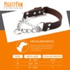 Mighty Paw Martingale Dog Collar - No Pull Design -