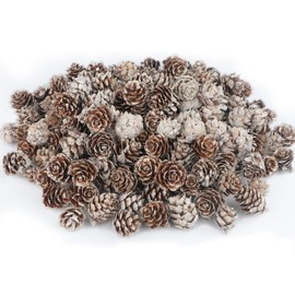 Songjum 200 Pieces Pine Cones Decorative Mini with White Coating Pine Cones Natural Small Christmas Pine Cones for Home Party Crafts Gift Wedding Christmas Tree Winter Decoration