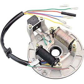 Unbranded 2 Coil Magneto Stator 50cc 70cc 90cc 110cc 125cc Taotao Coolster SSR DIRT BIKE