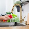 Gold Kitchen Faucet with Soap Dispenser, WOWOW Stainless Steel Kitchen