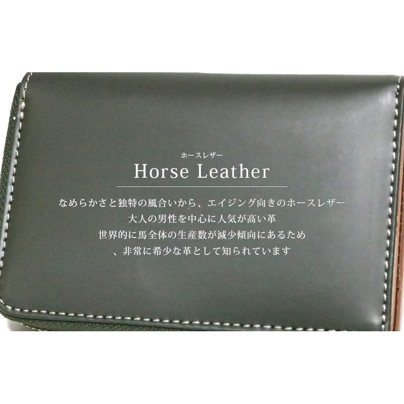 BlissLeather Premium Horse Leather Key Case, 6 Hooks, Card Slots,