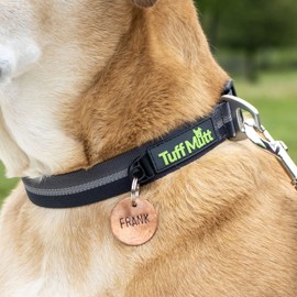 Tuff Mutt Dog Collars for Medium and Large Dogs, Reflective Dog Collar for High Visibility, Quick Release Buckle, Large Dog Collar is 1 Inch Wide Polyester, Fits 21-26 Inch Neck (Large, Gray)