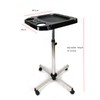 ZERNEIL Salon Tray Cart with Storage Platform, Tattoo Tray with