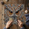 PICKFORU Owl Puzzles for Adults 1000 Pieces, Stone Bird Jigsaw