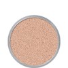 Kryolan Transparent Powder (60g)