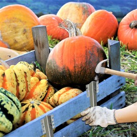 Sleeper Stakes 10pcs, 39cm Tall Galvanised Steel Metal Corner Timber Stakes, Fixing Peg Timber for Driveway Garden Edging for Planter Raised Grow Beds