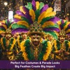 24 Pcs Carnival Feathers Bulk, Gold Green Purple Ostrich Feathers