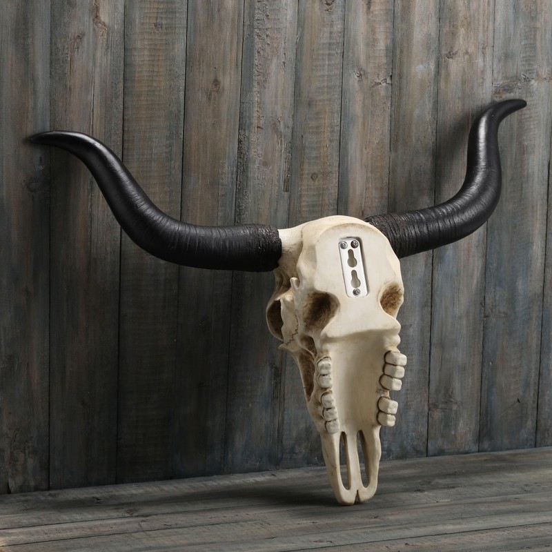 Veronese Design 14 Inch Long Horn Animal Skull Resin Wall