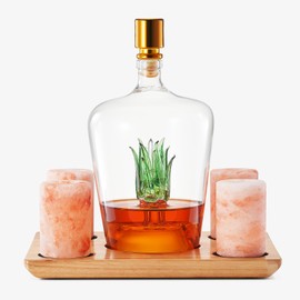 Tequila Decanter With Four Pink Himalayan Salt Shot Glasses Set, Perfect for Tequila Agave Liquor Lovers, 34 OZ Bottle, 1.6 OZ Shot Glass, Tequila, Liquor Party Decorations Cinco De Mayo (Agave)