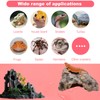 Bearded Dragon Tank Accessories Reptile Tank Accessories Leopard Gecko Tortoise