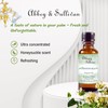 Abbey & Sullivan Fragrance Oil, Honeysuckle, 1 oz.