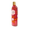 Shampoo Huichol De Chile, Romero Y Espinosilla 400 Ml (Pack
