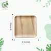 Naturelia 100% Compostable 6-Inch Palm Leaf Disposable Plates Square- Biodegradable