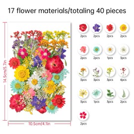 Dried Flowers, Kaluofan 40PCS Real Pressed Flowers, Dried Flowers for Resin, Dried Flowers for Crafts, for Bookmark Resin Scrapbooking Jewelry Crafts Making, Candle and Nails Decoration