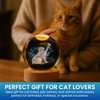 3D Laser Engraved Cat Crystal Ball – K9 Optical Crystal