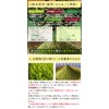 Honjien Tea Shizuoka Prefecture Specialty Powdered Sencha Fuji Kaoshun Japanese