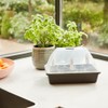 Siena Garden Midi-Grow Indoor Greenhouse 29 x 19 x 19