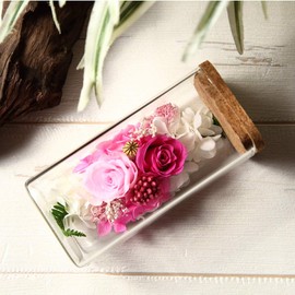 Teat Sight Preserved Flower Flower Bottle Gift Box 1 Set 6x12.5x6cm (Rose Pink)