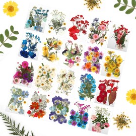 Gugxiom Flores Prensadas Secas para Resina, 20 Bolsas de 400 Piezas de Flores Prensadas, 20 Temas de Colores, Flores Secas para Arte de Uñas, Resina, Diseño de Joyería de (Tipo 10)