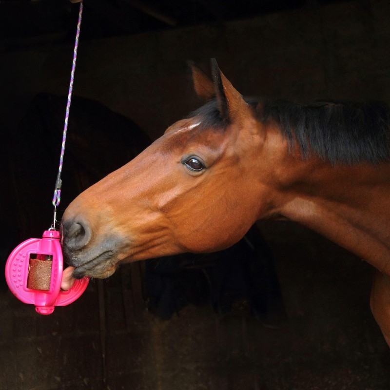 Bizzy Ball Horse Toy Pink | Bizzy Lick Holder, Reduce