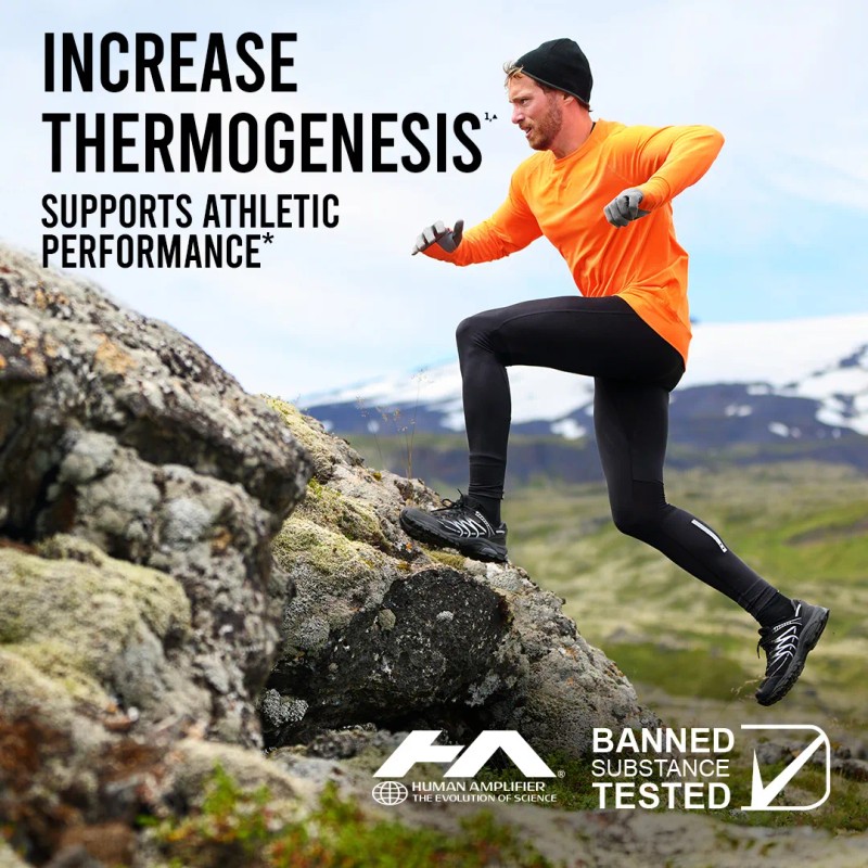 Human Amplifier High Energy L-carnitine 120 Cpsulas Sin Sabor